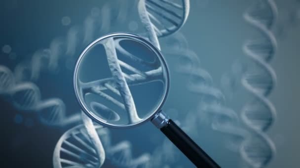 Lente d'ingrandimento che mostra fili di DNA — Video Stock