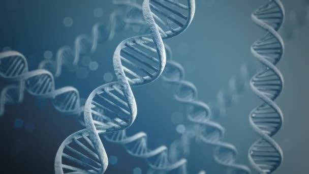 Cadeias de DNA rotativas — Vídeo de Stock