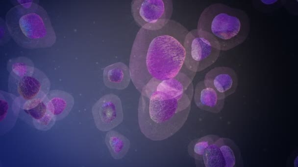 Bacterias de la molécula del virus del microbio celular que flotan alrededor — Vídeo de stock