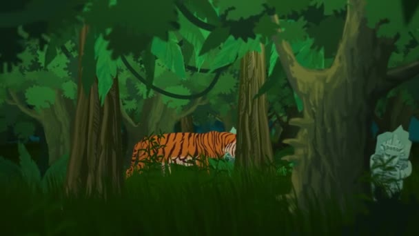 Tiger-séta a dzsungelben — Stock videók