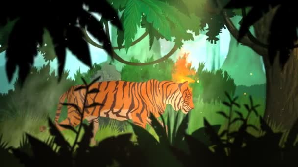 Tigre caminando en la selva — Vídeo de stock