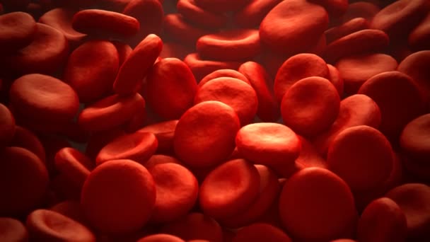 Red Blood Cells In Artery — Stock Video