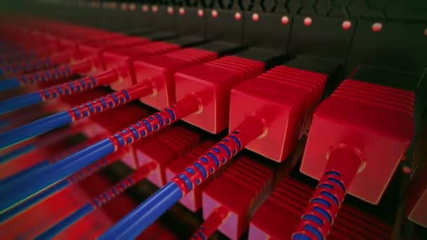 Optic cables connected to router ports. — Stock Video