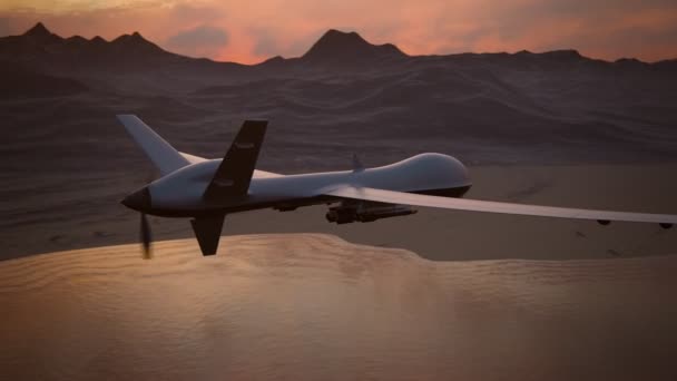 Militaire Predator Drone — Stockvideo