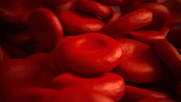 Red Blood Cells In Artery — Stock Video