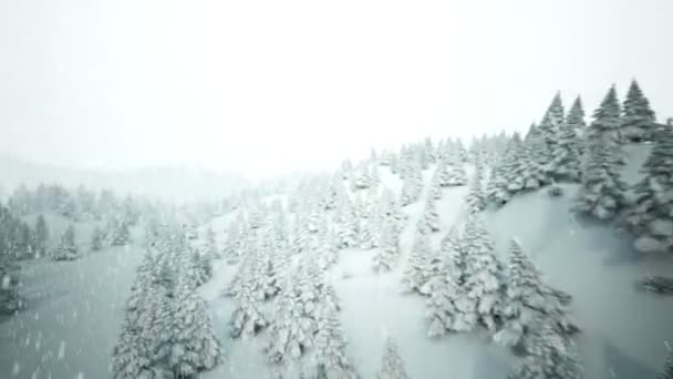 Vinter snö landskap — Stockvideo