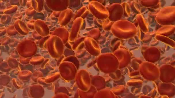 Red Blood Cells — Stock Video