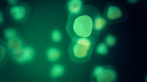 Bacterias de la molécula del virus del microbio celular que flotan alrededor — Vídeos de Stock