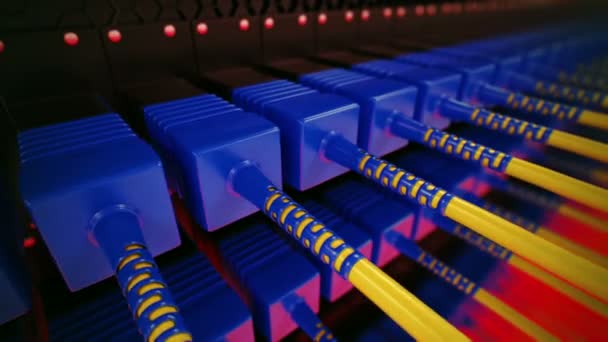 Optické kabely připojené k routeru porty. — Stock video