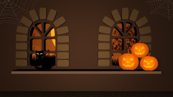 Halloween Pumpkins And Spider — Stock Video