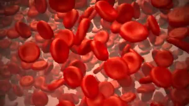 Червоні кров'яні тільця, що течуть в артерії — стокове відео