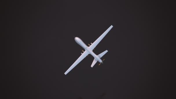Drone predador militar — Vídeo de Stock