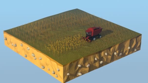 Combineren Harvester werken op landbouwgrond — Stockvideo