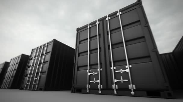 Container nella darsena portuale — Video Stock
