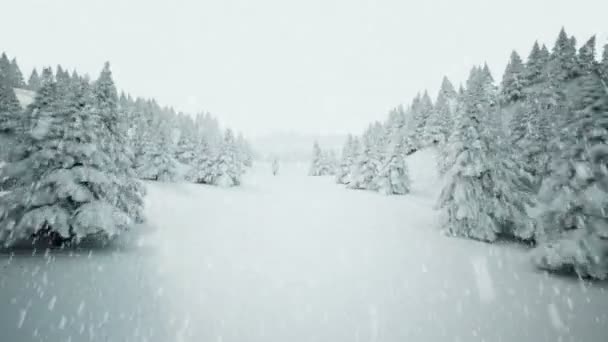 Zimní snow krajina. — Stock video