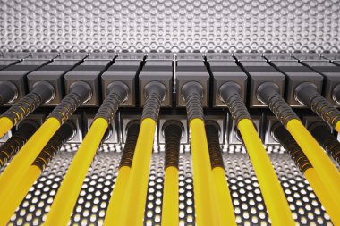 Optik fiber sunucu