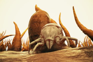 3d Render Of Dust Mite. Allergy House Hygiene Bed clipart