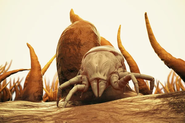 Parazita anime műfaj, Parasyte: The Maxim - Én a parazitákkal vagyok