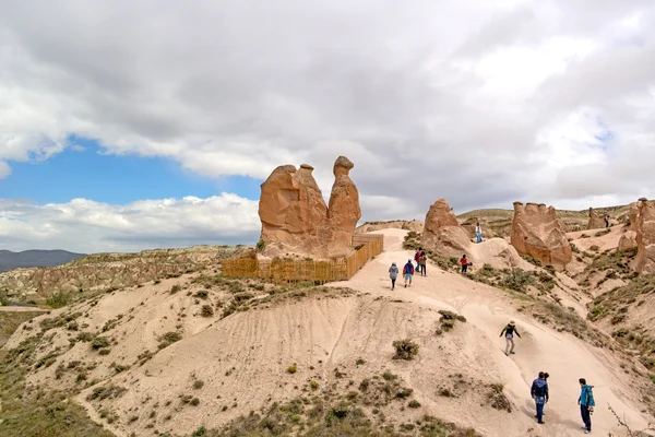 Kapadocja, Turcja - 29 kwietnia 2014: Cappadocia. Wielbłąd formacji geologicznych, uzyskane z powodu erozji. — Zdjęcie stockowe