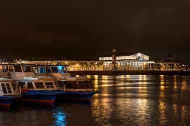 Vasilevski adada - Stock Exchange Building ve Rostral sütunları görüntüleyin. Gece fotoğrafçılığı.