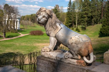 Pavlovsk, Rusya - 6 Mayıs 2016: Pavlovsk saray parkında antik mermer aslan heykeli. 