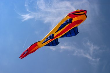 Balık şeklinde uçurtma.