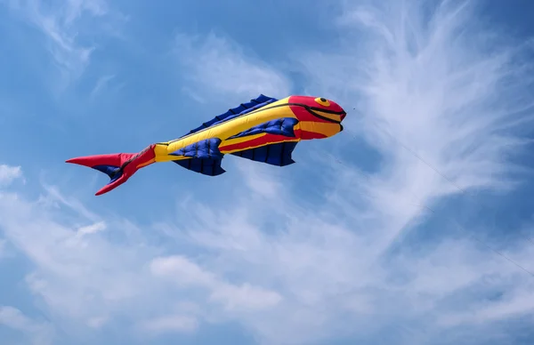 Cometa en forma de pescado . — Foto de Stock