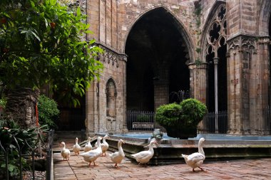 geese in the Cathedral clipart
