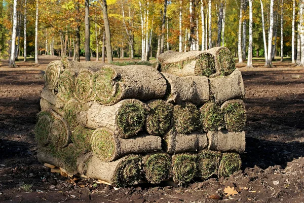 Spirale de gazon d'herbe fraîche roulée — Photo