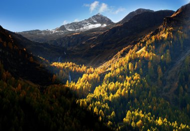 Avusturya Alplerinde güneşli