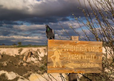 Güvercin Vadisi, Kapadokya Türkiye