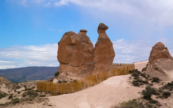 Cappadocia. Wielbłąd formacji geologicznych, uzyskane z powodu erozji. — Zdjęcie stockowe