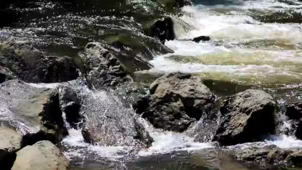 パノラマ川と小さな川の小さな石造りの境界に大きな岩. — ストック動画