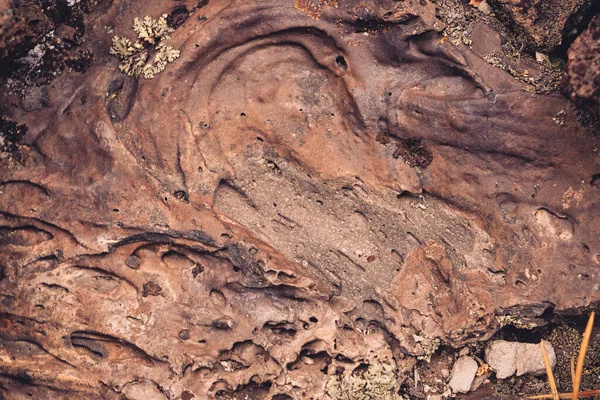 Detalle Cerca Del Basalto Volcánico Roca Lava Encontrado Desierto —  Fotos de Stock