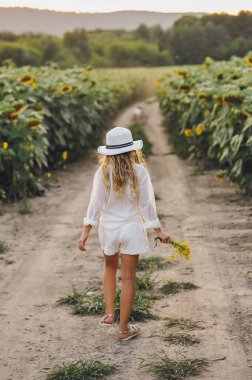 Gün batımında ayçiçeği tarlaları arasında yürüyen bir çocuk. Yaz kırsal macerası ve özgürlük kavramı.