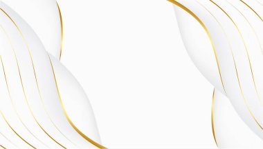 Beyaz ve altın renkli arka plan lüks, modern, Vektör