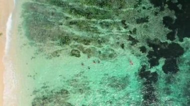 Arkadaşlar sahilde mavi suda yüzerler. Bali 'de güzel bir kumsalın havadan çekimi. Üst görünüm.