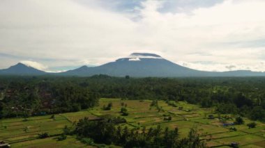 Bali adasındaki yeşil pirinç tarlaları, Jatiluwih, Ubud, Endonezya yakınları, Asya Havacılık manzarası