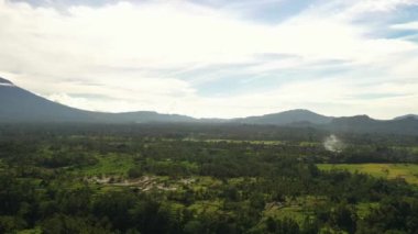 Bali adasındaki yeşil pirinç tarlaları, Jatiluwih, Ubud, Endonezya yakınları, Asya Havacılık manzarası