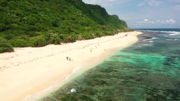 野生の熱帯ビーチを歩く人々の空中ビュー バリ島の旅行先 — ストック動画