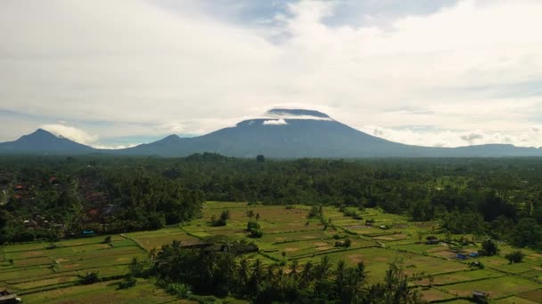 Zelená Rýžová Pole Ostrově Bali Jatiluwih Poblíž Ubud Indonésie Asie — Stock video