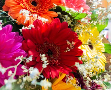 Kırmızı, sarı ve turuncu gerberalar.