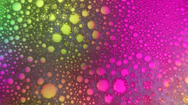 Abstrakt Flerfärgad Färgglad Bakgrund Flödande Färger Och Bubblor Färgämnen Som — Stockvideo