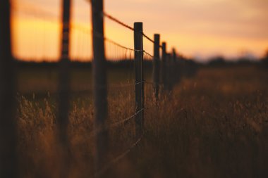 çayır ve çit Güney İzlanda