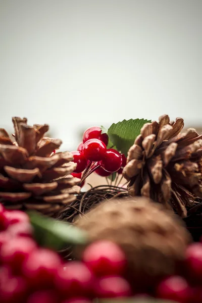 Vánoční stromek větve a věnec z červené bobule — Stock fotografie