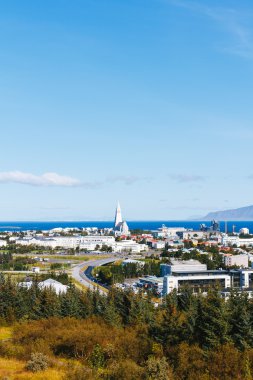 Reykjavik şehir manzaralı, İzlanda