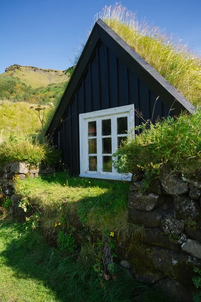 Traditionelle isländische Häuser mit Gras — Stockfoto