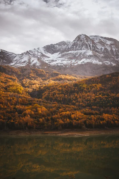 Autumnal forest — Stock Photo, Image