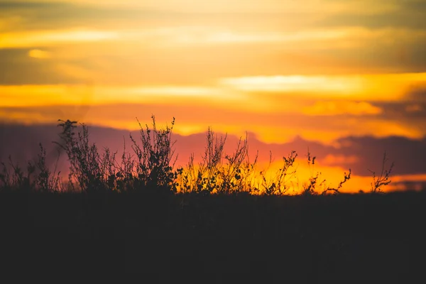 Puesta de sol — Foto de Stock