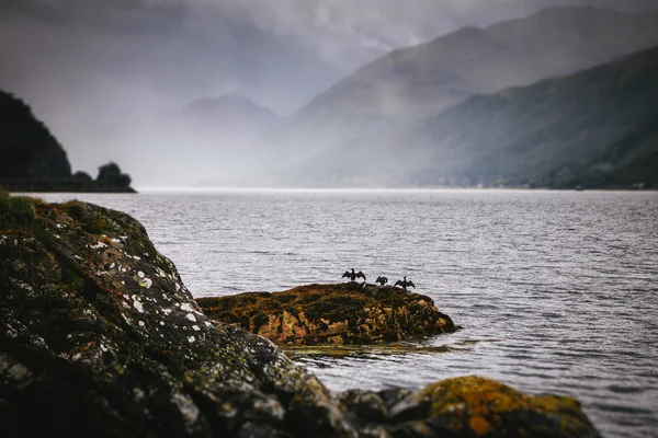 SCOTLAND Ordförande — Stockfoto